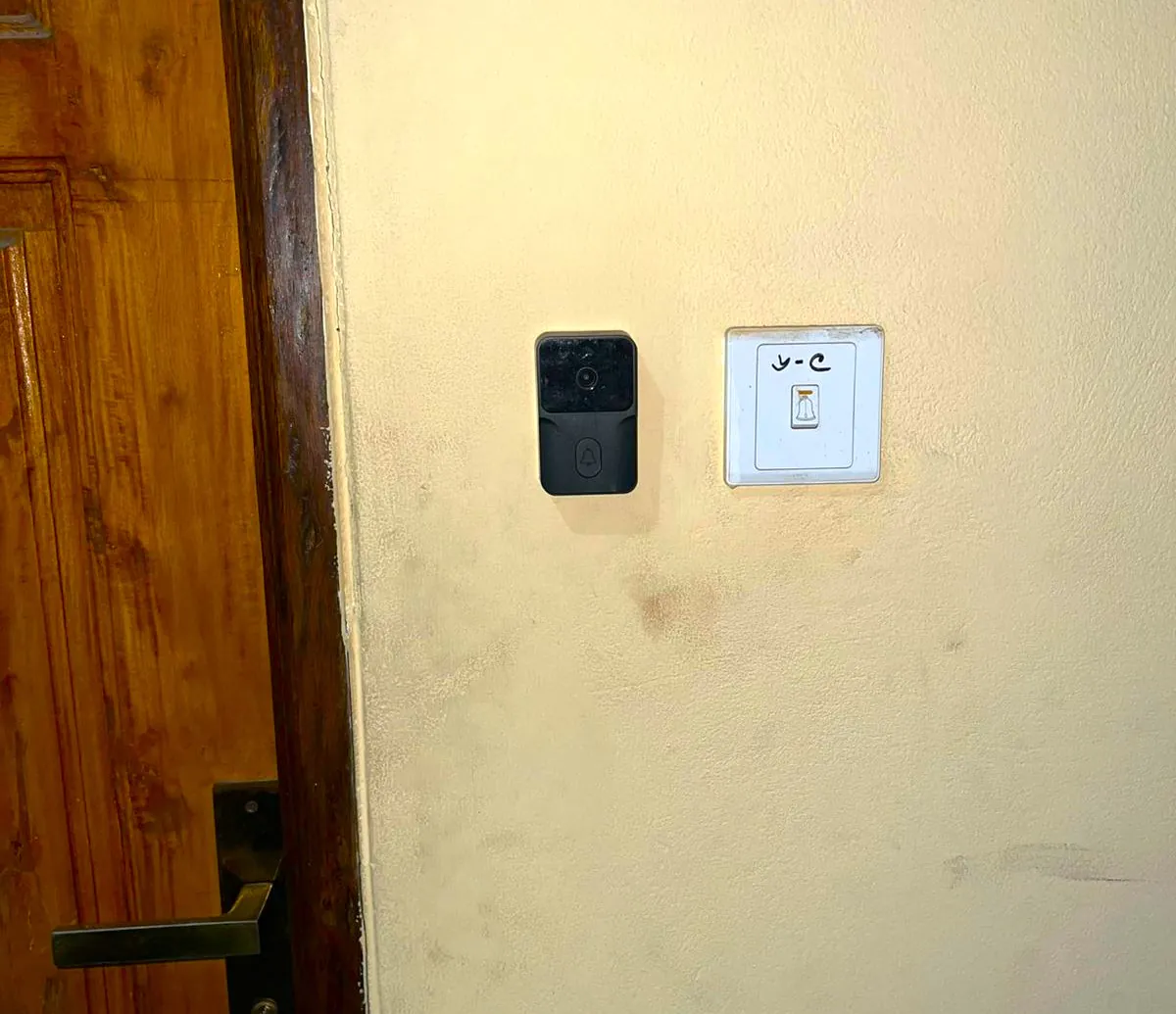 সডযবননচ্চ